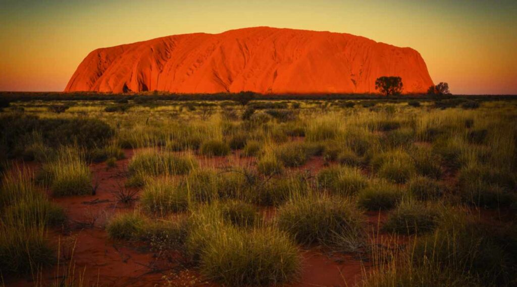 About Decolonial Thought Platform & Mission